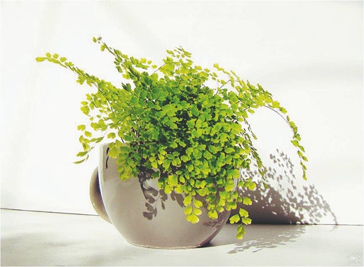 【扬州绿之源环保】有机废气处理，我们不曾懈怠