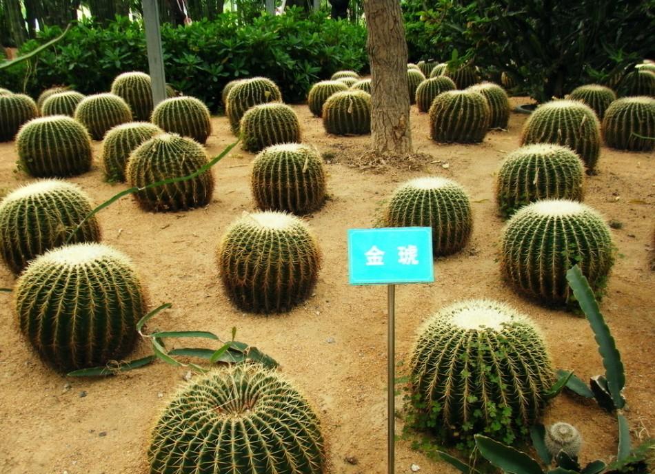 【扬州绿之源环保】涂料等行业迎来VOCs废气治理风暴