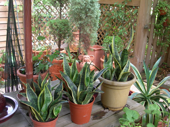 【扬州绿之源环保】VOCs废气治理知识大科普