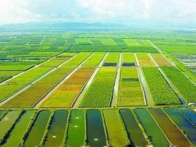 【扬州绿之源环保】企业如何选择最佳VOCs废气治理技术