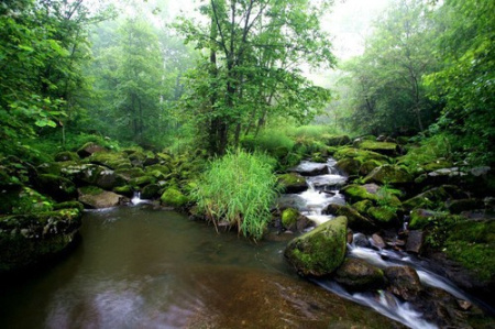 【扬州绿之源环保】工业废气处理厂家为您盘点关于的雾霾谣言