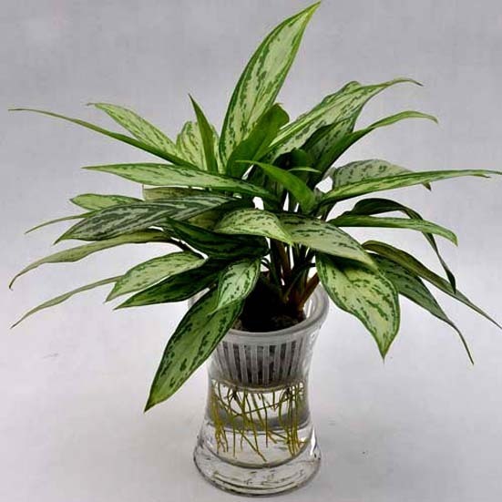 【扬州绿之源环保】公共场所VOCs如何产生？